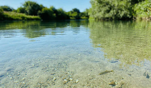 Industrial Grade Sodium Carbonate