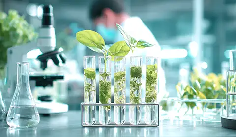 Formic Acid Technical Cas